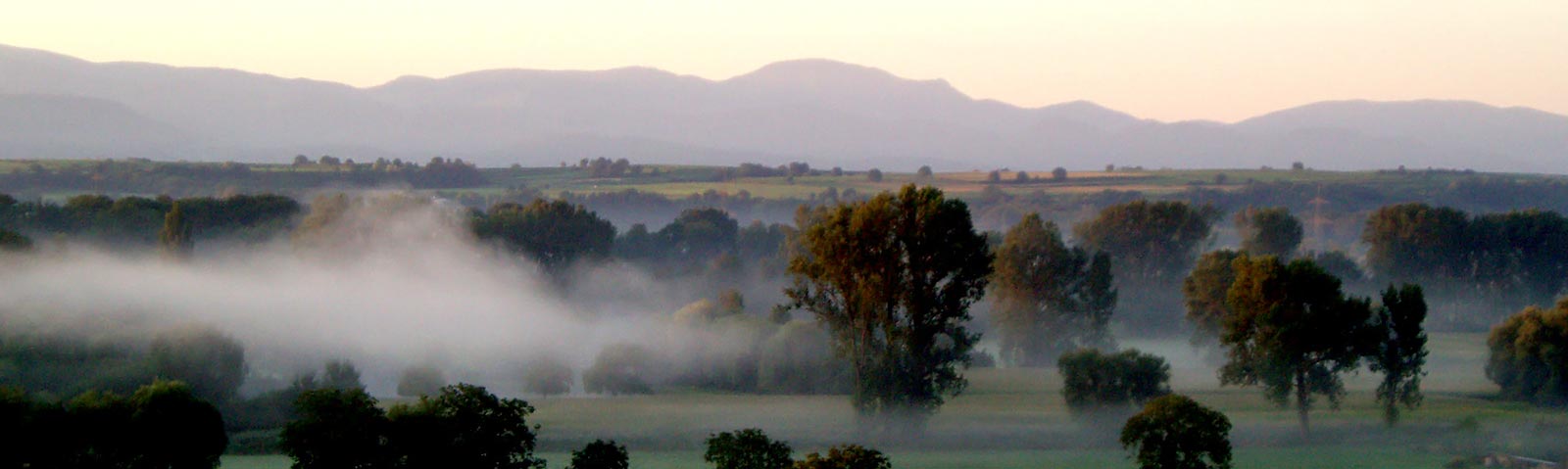 Morgennebel über den Feldern
